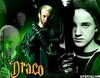 Draco 2nd year