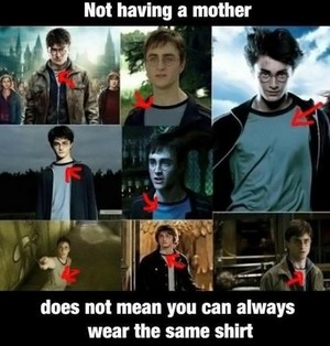 Harry potter forever