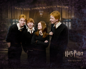  Harry Potter<3
