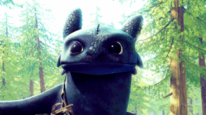  Toothless in DoB