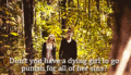 Klaus and Caroline in "Fifty Shade of Solitude" - klaus-and-caroline photo