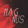  Magnus Icons