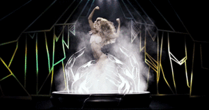  Lady GaGa ~Applause