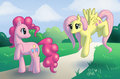 Pinkie Pie and Fluttershy on a Sunny Day - my-little-pony-friendship-is-magic photo