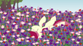 Roseluck in the Flowers - my-little-pony-friendship-is-magic photo