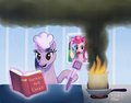Twilight Cooking - my-little-pony-friendship-is-magic photo