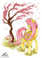 Cherry Blossom Tree - my-little-pony-friendship-is-magic photo