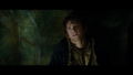 The Hobbit: The Desolation of Smaug - random photo