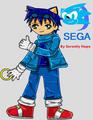 SONIC.BY SERENOPPS - sonic-the-hedgehog photo