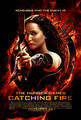 the hunger games catching fire - the-hunger-games photo