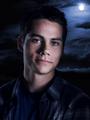 Dylan teen wolf - the-vampire-diaries photo