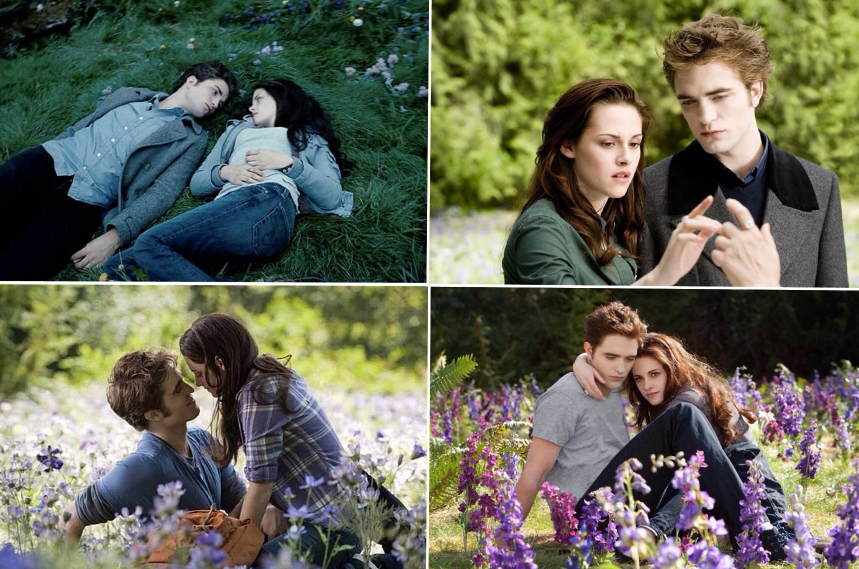Photo of Bella and Edward meadow for fans of Twilight Series. 