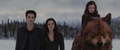 Jacob Renesmee Bella and Edward  - twilight-series photo