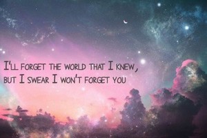  I'll forgwr the world I knew,but I swear I won't forget 你