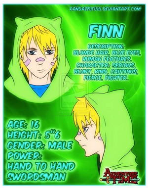  Finn the human