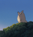 Totoro      - anime photo