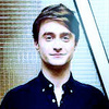  Daniel Radcliffe ícone