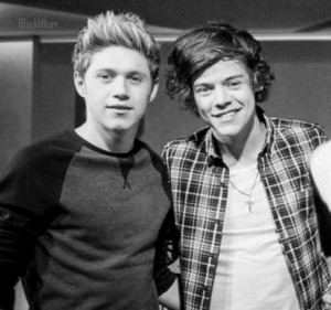 Niall and Harry 