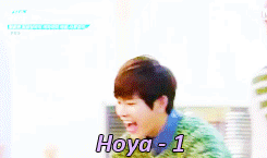♥ Hoya ♥       