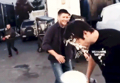  Misha gets pie'd sejak Jensen!