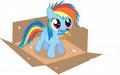 Filly Dash - my-little-pony-friendship-is-magic photo