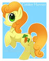 Carrot Top    - my-little-pony-friendship-is-magic photo