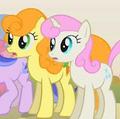 Twinkle Shine - my-little-pony-friendship-is-magic photo
