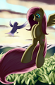 Fluttershy and a Bird - my-little-pony-friendship-is-magic photo