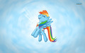 Rainbow Dash Wallpaper - my-little-pony-friendship-is-magic wallpaper