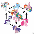 rarity pinkie dash fusion - my-little-pony-friendship-is-magic photo
