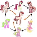 Daisy, Rose, and Lily Valley fusion - my-little-pony-friendship-is-magic photo