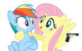Rainbow Dash,Fluttershy,and Gun? - my-little-pony-friendship-is-magic fan art