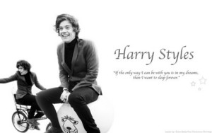  Harry Styles