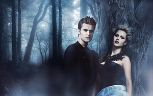  Stefan and Rebekah