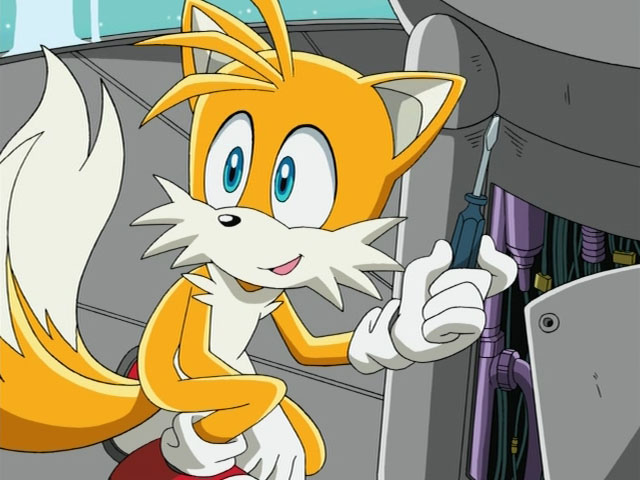 Tails-image-tails-36639549-640-480.jpg