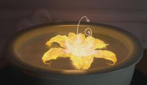  Magical Golden 花