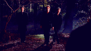  the mikaelson brothers