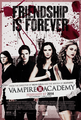 Vampire Academy fanmade poster - the-vampire-academy-blood-sisters fan art