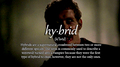 Hybrid            - the-vampire-diaries-tv-show fan art