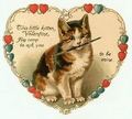 kitten valentine - the-vampire-diaries photo