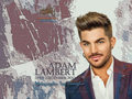 adam-lambert - Adam Lambert wallpaper