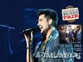 adam-lambert - Adam Lambert wallpaper