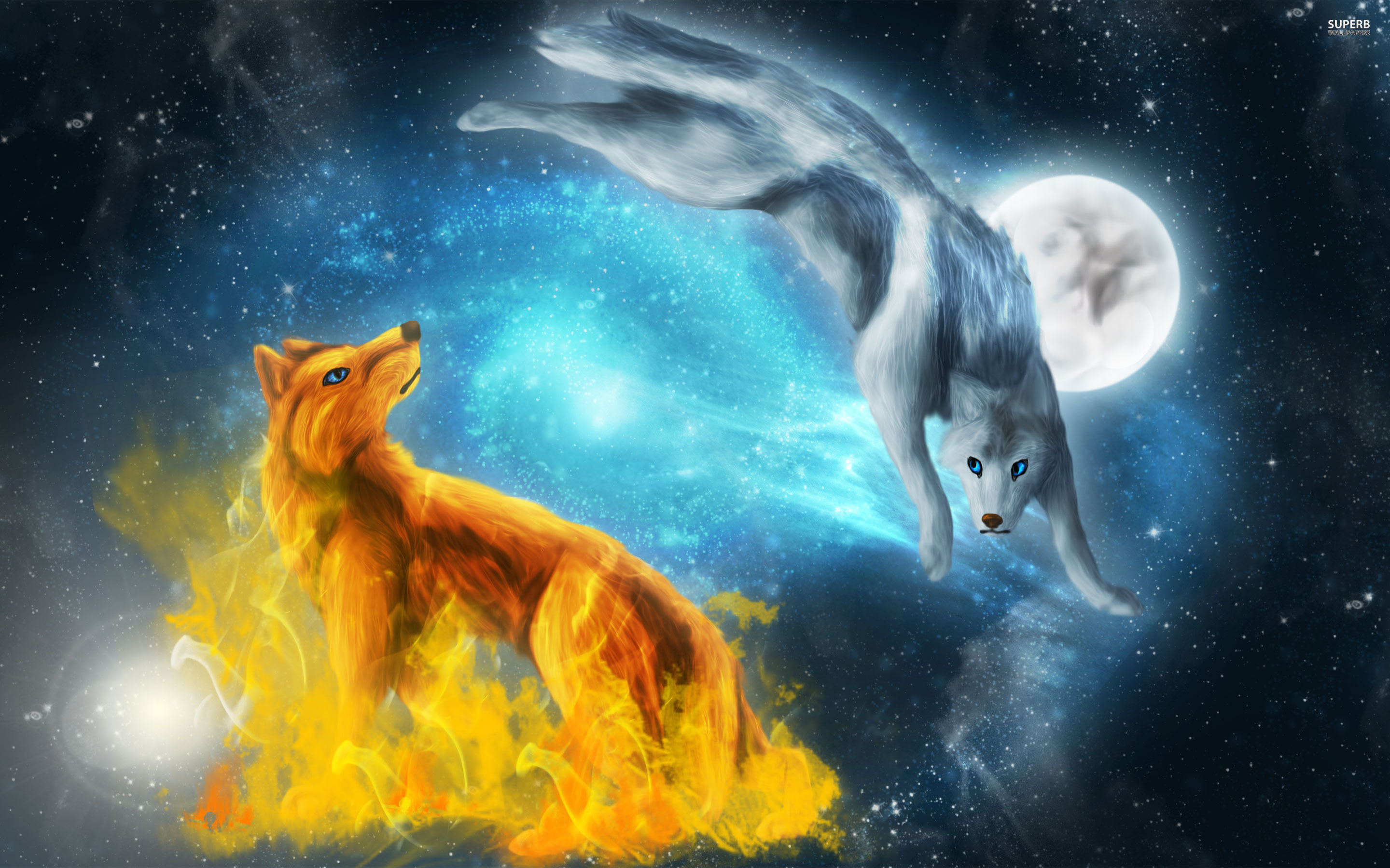 Amazing Wolves images Amazing Wolves image HD wallpaper and background 