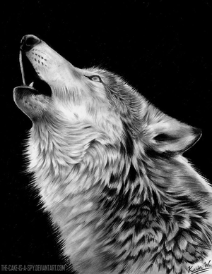 Awesome Wolf Howling