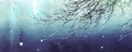 Makoto Shinkai- Garden of Words  - anime photo