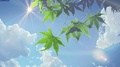 Makoto Shinkai- Garden of Words  - anime photo