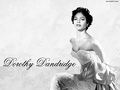 Dorothy Dandridge - celebrities-who-died-young wallpaper