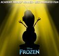 Frozen Academy Award Winner Best Animated Feature Film - disney-princess photo