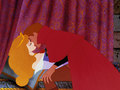 Disney Cartoon, "Sleeping Beauty" - disney photo
