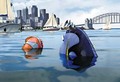 2003 Computer Animated Disney Film, "Finding Nemo" - disney photo